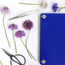 Ladda upp bild till gallerivisning, Blompress-kit