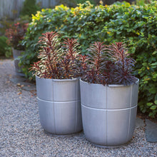 Ladda upp bild till gallerivisning, Linea nr 1 kruka