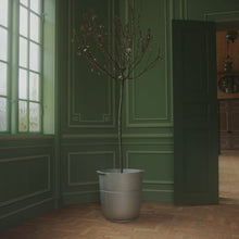 Ladda upp bild till gallerivisning, Linea nr 1 kruka