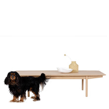 Load image into Gallery viewer, Lucca Coffee Table