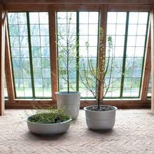 Ladda upp bild till gallerivisning, Linea nr 2 kruka