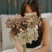 Ladda upp bild till gallerivisning, New Botanic - Romantic Bouquet Collection