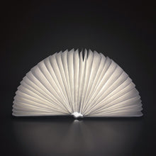 Ladda upp bild till gallerivisning, Notebook lampa