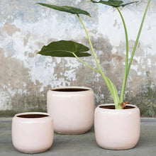 Load image into Gallery viewer, Flower Pot Pink