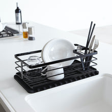 Ladda upp bild till gallerivisning, Flow avrinningsbricka med diskställ
