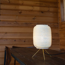 Ladda upp bild till gallerivisning, Ausi