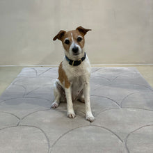 Ladda upp bild till gallerivisning, Stone