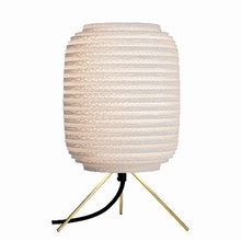 Ladda upp bild till gallerivisning, Ausi