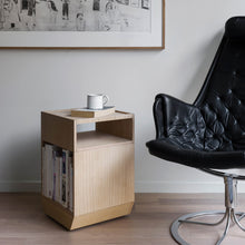 Ladda upp bild till gallerivisning, PILE