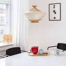 Ladda upp bild till gallerivisning, RON takpendel