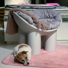 Ladda upp bild till gallerivisning, Roly Poly