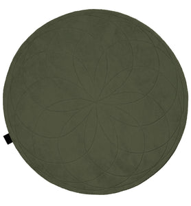 Olive 10